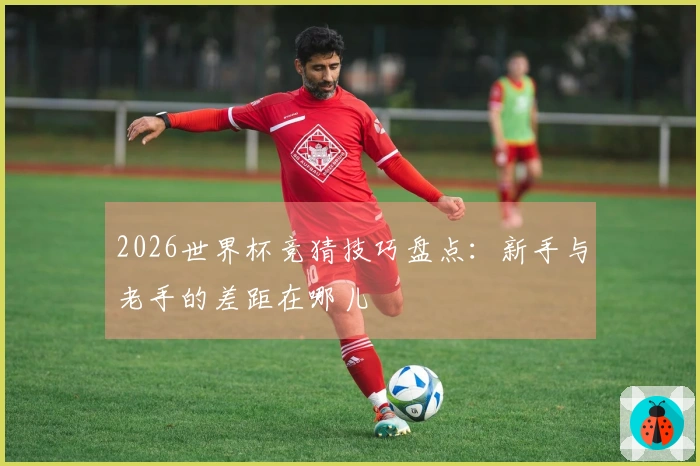 2026世界杯竞猜技巧盘点：新手与老手的差距在哪儿