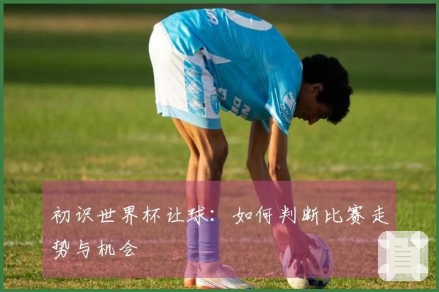 初识世界杯让球：如何判断比赛走势与机会