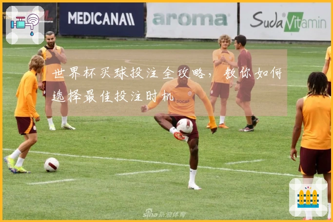 世界杯买球投注全攻略，教你如何选择最佳投注时机
