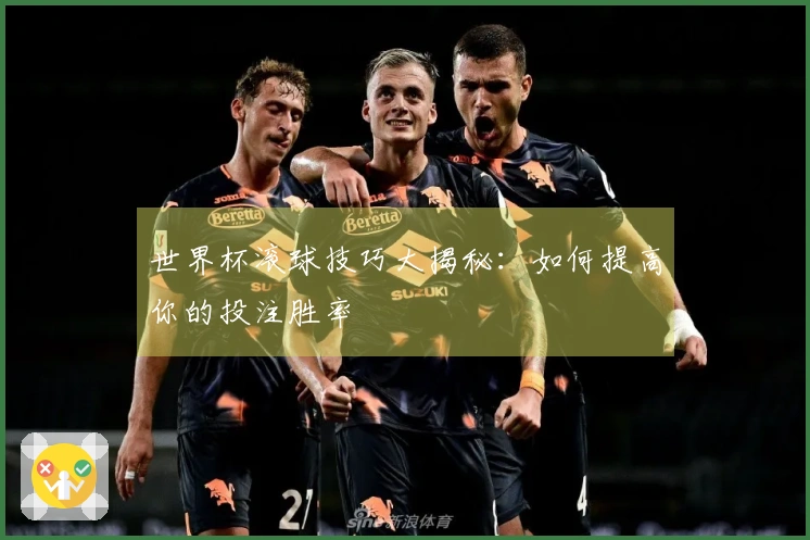 世界杯滚球技巧大揭秘：如何提高你的投注胜率