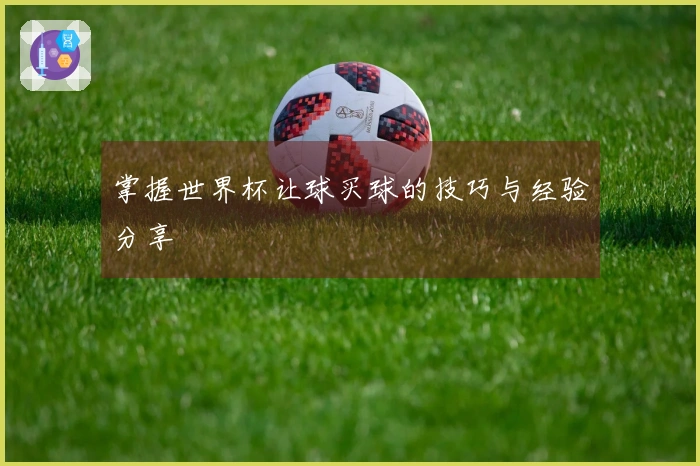 掌握世界杯让球买球的技巧与经验分享