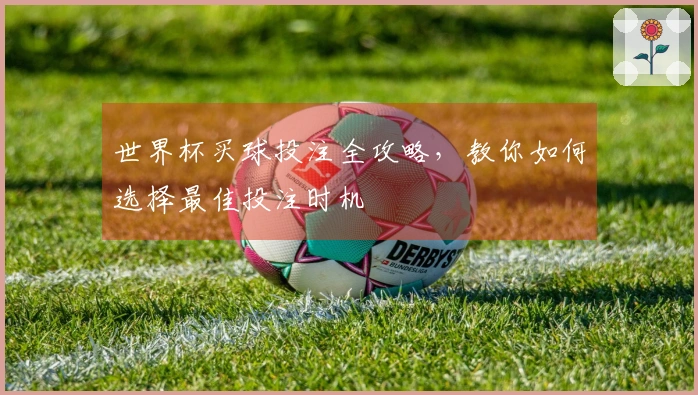 世界杯买球投注全攻略，教你如何选择最佳投注时机