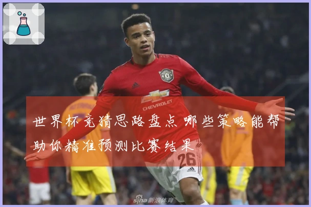 世界杯竞猜思路盘点 哪些策略能帮助你精准预测比赛结果