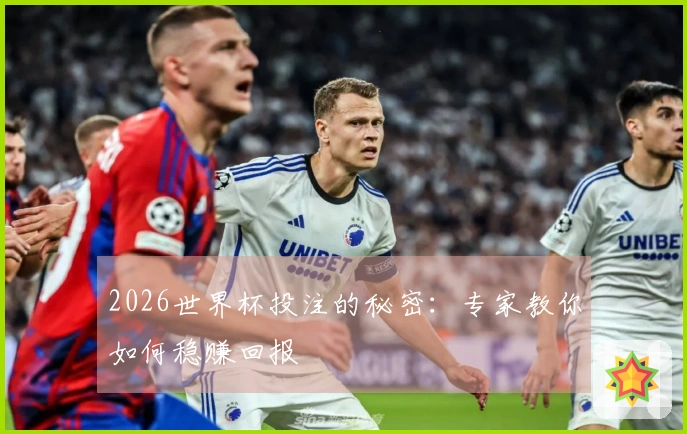 2026世界杯投注的秘密：专家教你如何稳赚回报