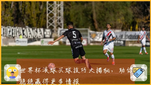 世界杯滚球买球技巧大揭秘，助你稳稳赢得更多情报